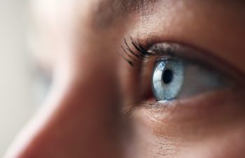 Macro Studio Expression Shot Of Woman's Eye With Close Up On Eyelashes And Pupil